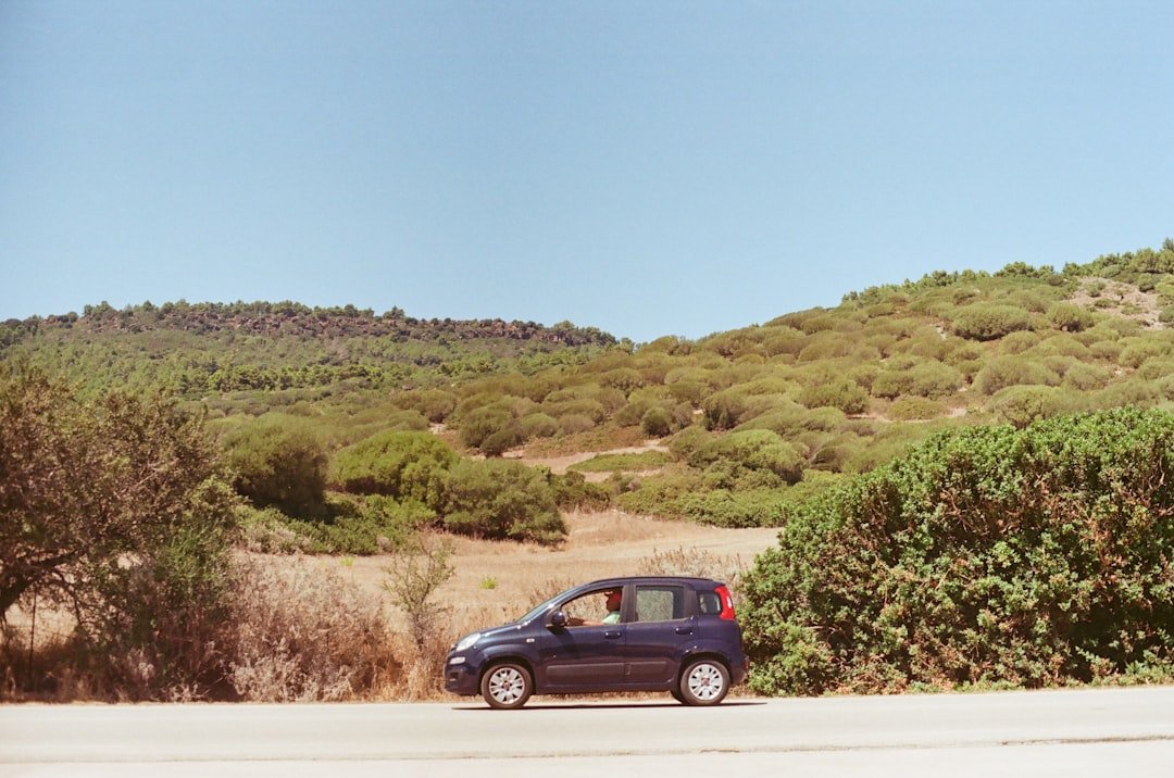 Coche de alquiler: libertad para explorar