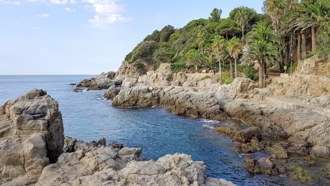 Cafeter&iacute;a acogedora cerca de Lloret de Mar con terraza soleada y vistas.