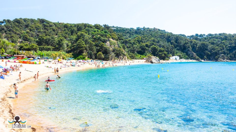 Puerto deportivo de Cala Canyelles con embarcaciones amarradas y costa rocosa