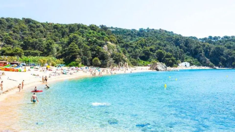 Cala Canyelles seen from the Camí de Ronda with its small marina
