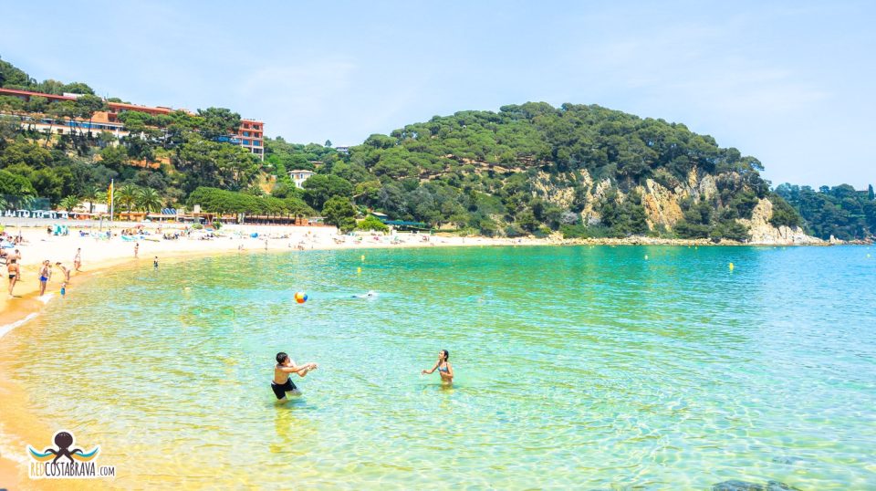 Platja de Santa Cristina surrounded by Mediterranean pines and clear water