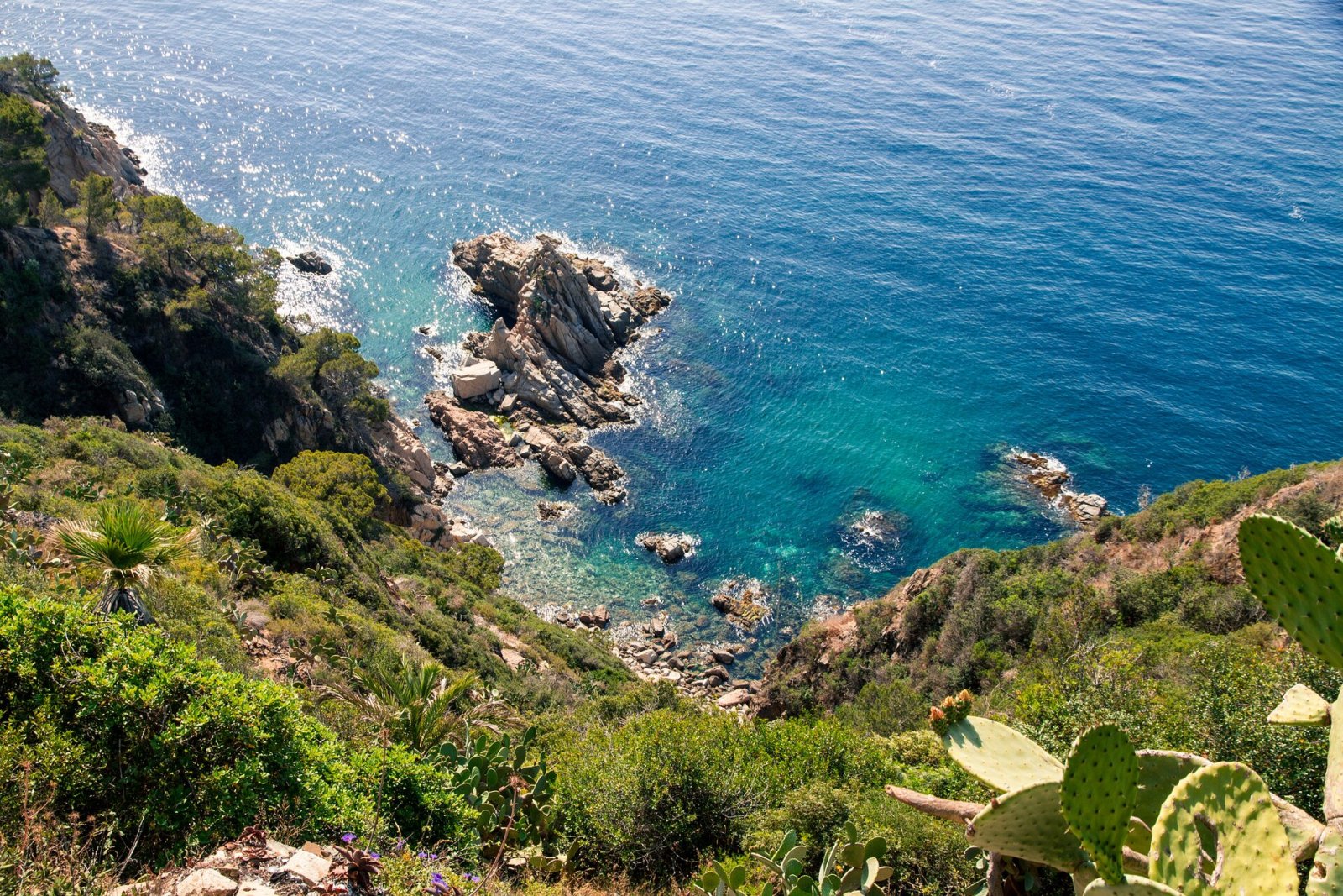 Bah&iacute;a azul y verde con acantilados, cactus y mar sereno.